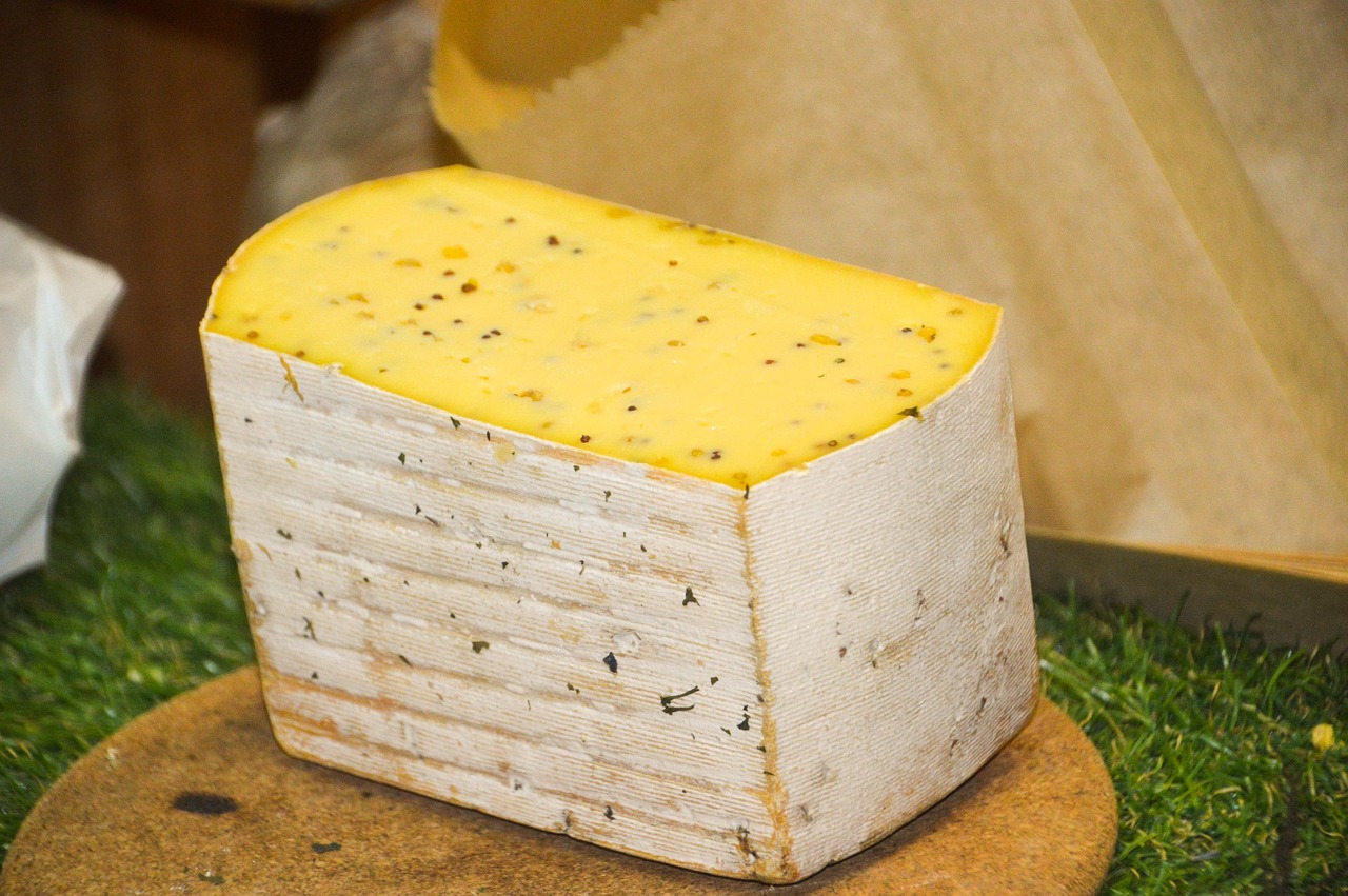 cheese, dairy product, power, dairy, calcium, product, nutrition, volume, costs